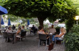 Gäste sitzen an Tischen im dichten Schatten eines großen Baumes auf der Terrasse des Restaurants.