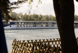 Ein großes Flusskreuzfahrtschiff fährt auf einem Fluss vorbei, gesehen durch Bäume und einen Holzzaun.