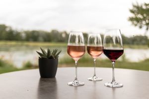 Rosé-Wein in edlen Gläsern mit Blick auf den Rhein